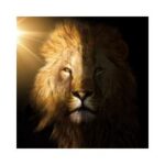 Confidence and Self-Esteem
