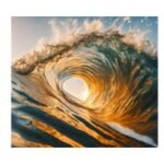 Stress and Resilience